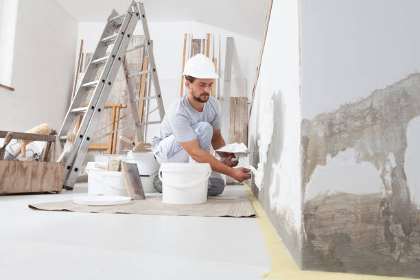 Best Mold-Related Health Consultation  in Carson City, NV