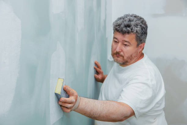 Professional Mold Removal in Carson City, NV