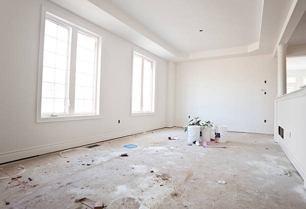 Best Mold Damage Restoration  in Carson City, NV