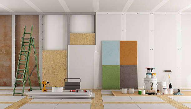 Best Commercial Mold Inspection  in Carson City, NV