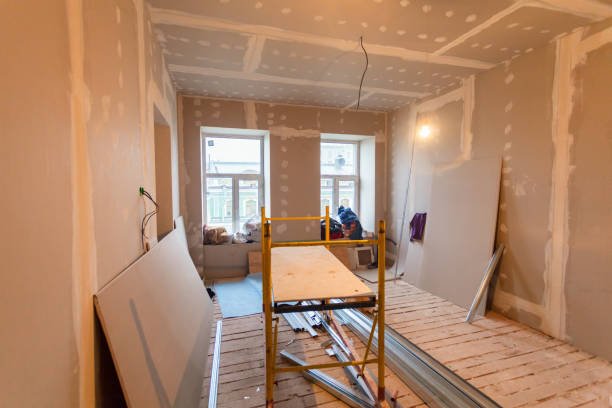 Best Post-Construction Mold Inspection  in Carson City, NV